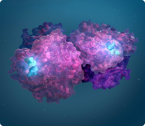 Colorful 3D rendering of two protein molecules with glowing blue active sites.