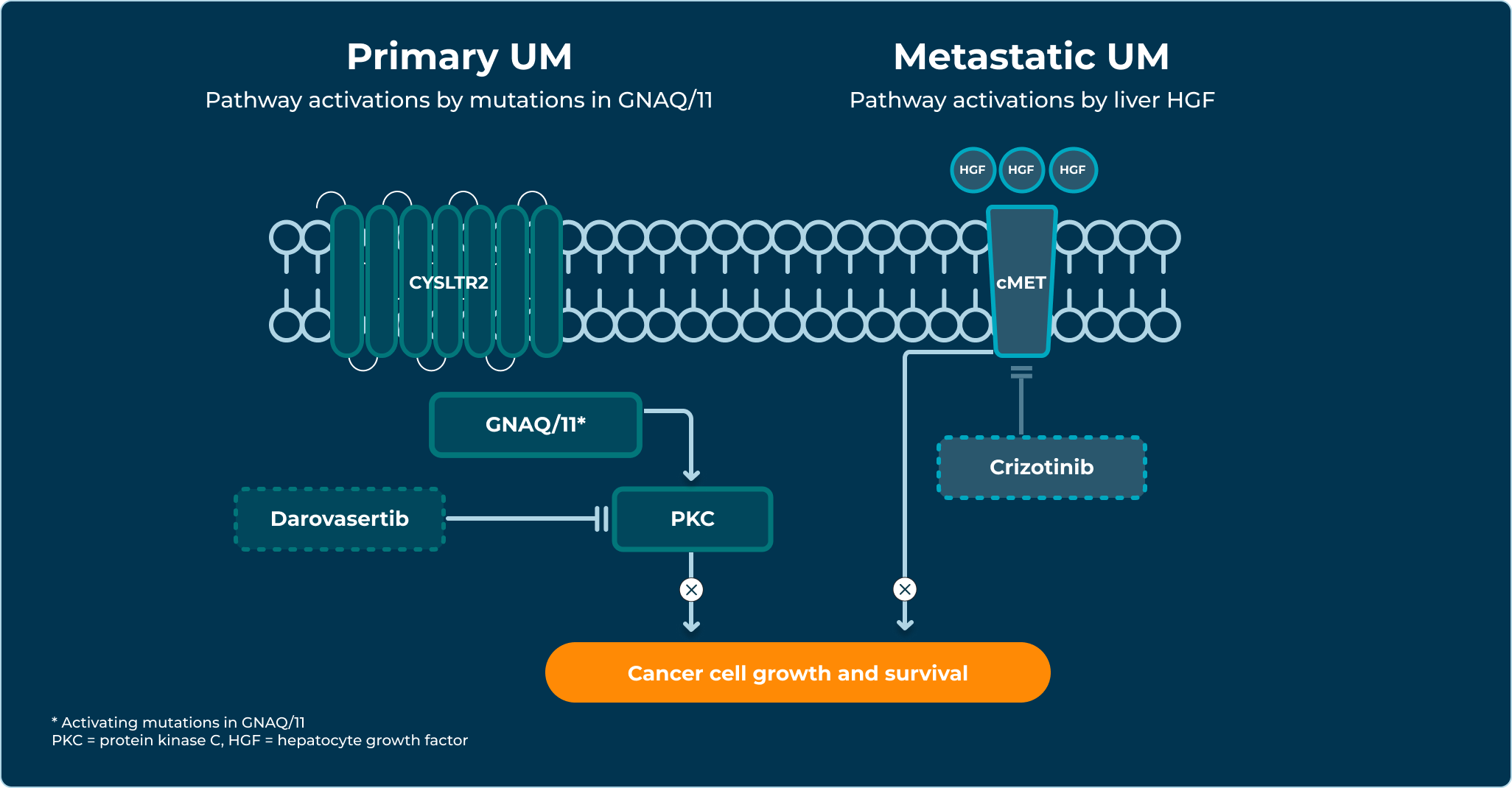 Diagram comparing signaling pathways in primary and metastatic UM leading to tumor cell growth.