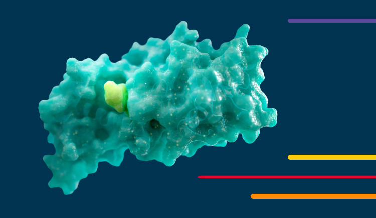 3D molecular structure with a yellow highlight on a blue background.