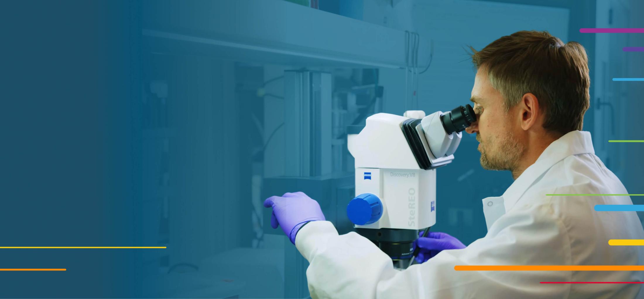 Scientist wearing gloves looks through a microscope in a laboratory.